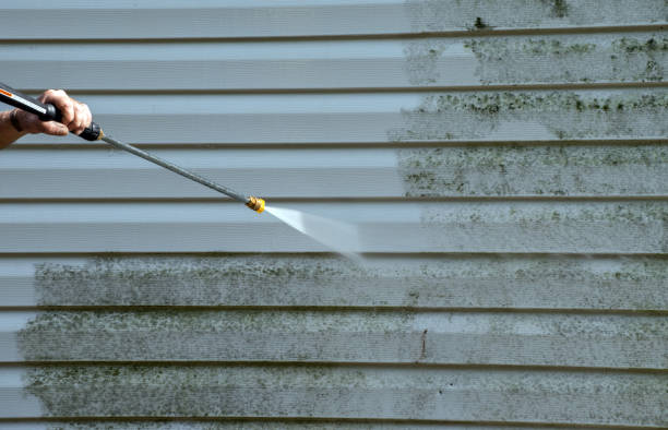 Best Local Mold Removal Service  in Jackson Center, OH